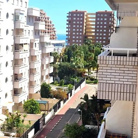 Apartment Trebol Iii Nº 1159 *